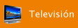 Televisi�n
