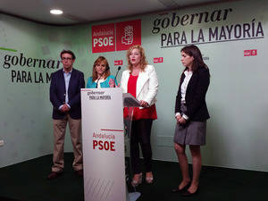 El PSOE de Adra pide a la Fiscalía abrir diligencias contra el equipo de Gobierno del PP de Adra por la deuda municipal