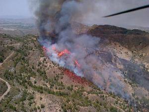 Controlado por Infoca un incendio en Huércal Overa