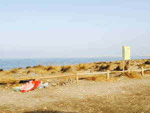 El Ayuntamiento denuncia la falta de mantenimiento de la Junta sobre la Playa de Torregarcía