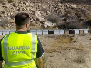 La Guardia Civil imputa al autor del hurto de colmenas de una explotación apícola