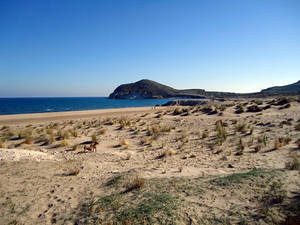 Los Genoveses es elegida por los seguidores de Antena3 como la mejor playa de España