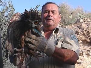 Rescatan un ejemplar de búho real en Alhama de Almería