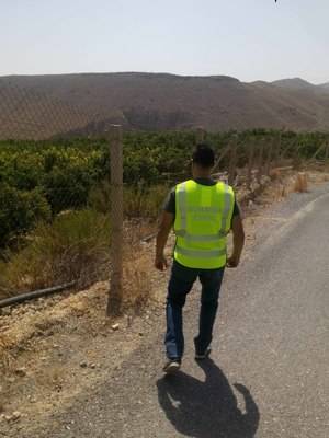 Detenidos cinco vecinos de Roquetas por robar 10 toneladas de limones de la finca alicantina de San Miguel de Salinas