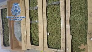 La Policía Nacional detiene a un hombre que transportaba más de once kilos de cogollos de marihuana