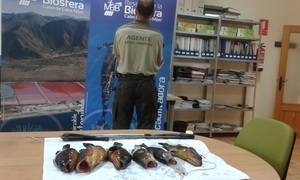 La Policía Autonómica decomisa 15 kilos de pescado a dos furtivos en Cabo de Gata