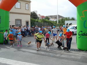 Los gadorenses participan con sus mascotas en la I Carrera de Cani-cros