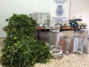 La Policía Nacional interviene 165 plantas de marihuana en un domicilio de El Ejido