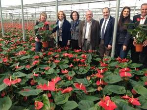 La superficie de producción ecológica almeriense en 2015 sube un 20% respecto al año pasado