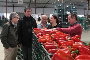 Carmen Crespo: “Rajoy es el único candidato capaz de proteger los intereses de nuestros agricultores”