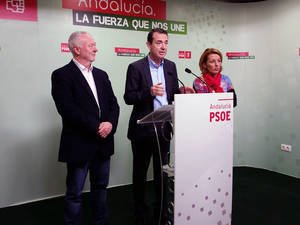 El PSOE de Almería pedirá al Congreso mejoras en el tren a Madrid y que se retomen el AVE y la desaladora de Cuevas