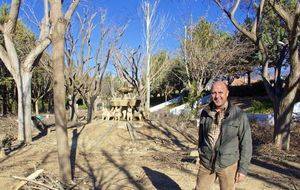 El Ayuntamiento de Abla poda todo el arbolado del parque de 'La Merendica'