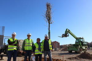 Comienza la plantación de los 800 árboles de Los Bajos