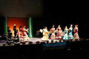 Moda flamenca y solidaria en El Ejido