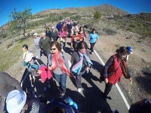 Más de un centenar de participantes en la cita con la X Olimpiada de Mayores en el Pantano de Beninar