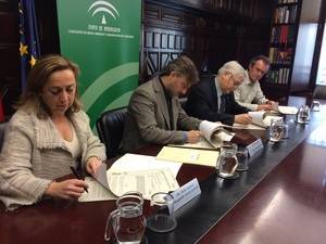 Medio Ambiente y CSIC entregan a acuarios parejas de tortugas boba para potenciar la nidificación de la especie