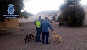 Un joven y cinco menores son investigados por romper cámaras de vídeo vigilancia y robar cachorros de perro y crías de codorniz