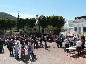 La participación, nota destacada de las fiestas de San Benito en la villa de Vícar