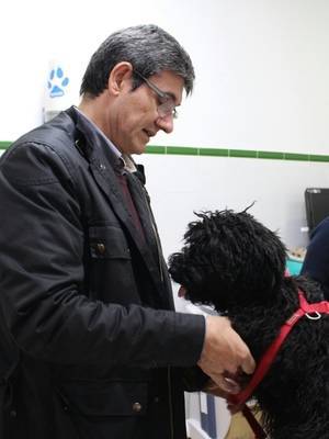 Adra pone en marcha el Registro Animal por ADN para la identificación plena de mascotas