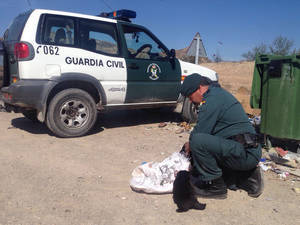 Guardia Civil rescata 6 cachorros tirados en un contenedor