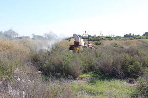 Comienzan los trabajos de fumigación para prevenir la presencia de mosquitos en Roquetas