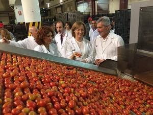 Almería concentra casi el 89% de las exportaciones de tomate de Andalucía entre septiembre de 2015 y febrero de 2016