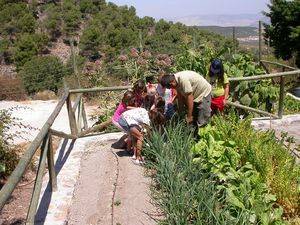 Los jardines Umbría de la Virgen y El Albardinal recibieron 21.000 visitantes en 2015