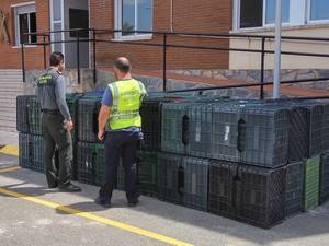 La Guardia Civil detiene al autor del hurto de 168 cajas de plástico en el Poniente almeriense