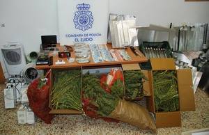 Desmantela en El Ejido una plantación de marihuana gestionada por un clan familiar de narcotraficantes