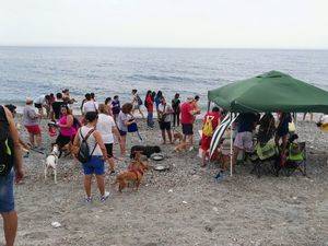 Paseo canino en Adra por la concienciación animal