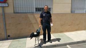 La Policía Local de Viator rescata a tres perros que fueron abandonados en una terraza sin agua ni comida