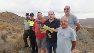 Medio Ambiente libera un ejemplar de águila perdicera en el paraje Sierra Lisbona