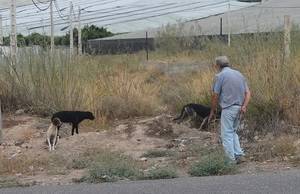 El Ayuntamiento de Berja rescata más de 100 animales callejeros en lo que va de año