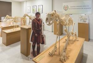 Termina la exposición de "Anatomía veterinaria; Arte y ciencia"