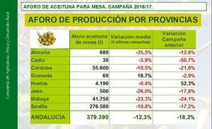 Baja el 35,5% la producción de aceituna en Almería en 5 años