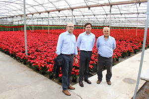 El alcalde de El Ejido visita las instalaciones del vivero Joepasur, una empresa líder en exportación europea de planta ornamental