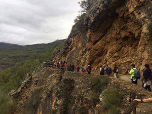 Jornada de convivencia de los voluntarios de El Ejido