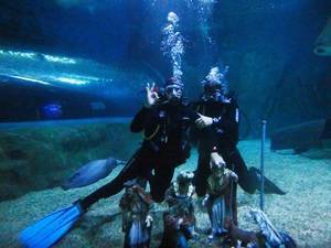 El campeón paraolímpico José Manuel Marín instaló el belén del Aquarium de este año