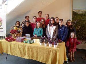 Miembros del Consejo de la Infancia y la Adolescencia participan en los mercados navideños de Vícar