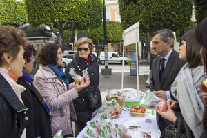 Diputación se suma a los actos del ‘Día Mundial contra el Cáncer’ organizados por la AECC