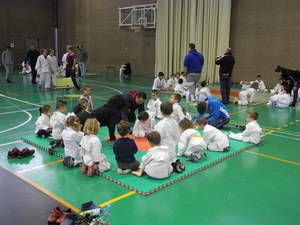 Más de 200 deportistas de una docena de clubes de Almería participan en un encuentro provincial sobre judo promovido por la Diputación