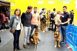 210 perros en la V Exposición Canina Internacional de El Ejido