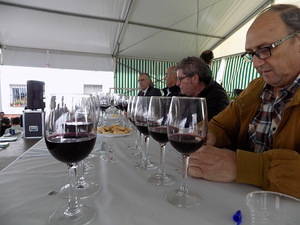 José Zoyo arrasa en el XIV Concurso de Vinos y Mostos de Abla