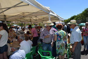 Cientos de gadorenses participan en la popular Romería de San Isidro