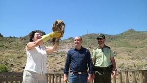 Liberado un Búho Real en la Sierra de Gádor