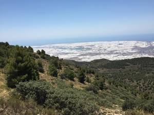 El Ayuntamiento recuerda a la Junta la necesidad de poner en marcha el Sistema Integrado de Gestión para el plástico agrícola