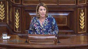 PSOE reclama una Ley integral y una estrategia contra la violencia hacia la infancia