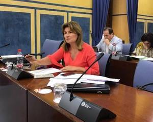 PP pide a la Junta un Plan específico para la ganadería caprina de Almería