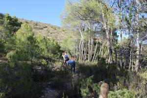 Jornada de voluntariado ambiental para acondicionar un sendero del monte ‘El Gabar’ en Sierra María