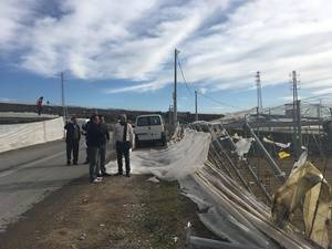 El Ayuntamiento de El Ejido concreta en 200 hectáreas y 40 millones de euros los daños del temporal del Día de Reyes